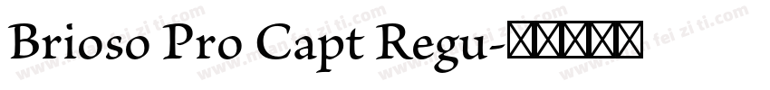 Brioso Pro Capt Regu字体转换